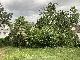 WG M�nchen Berg am Lai... Hohenbrunner Strasse